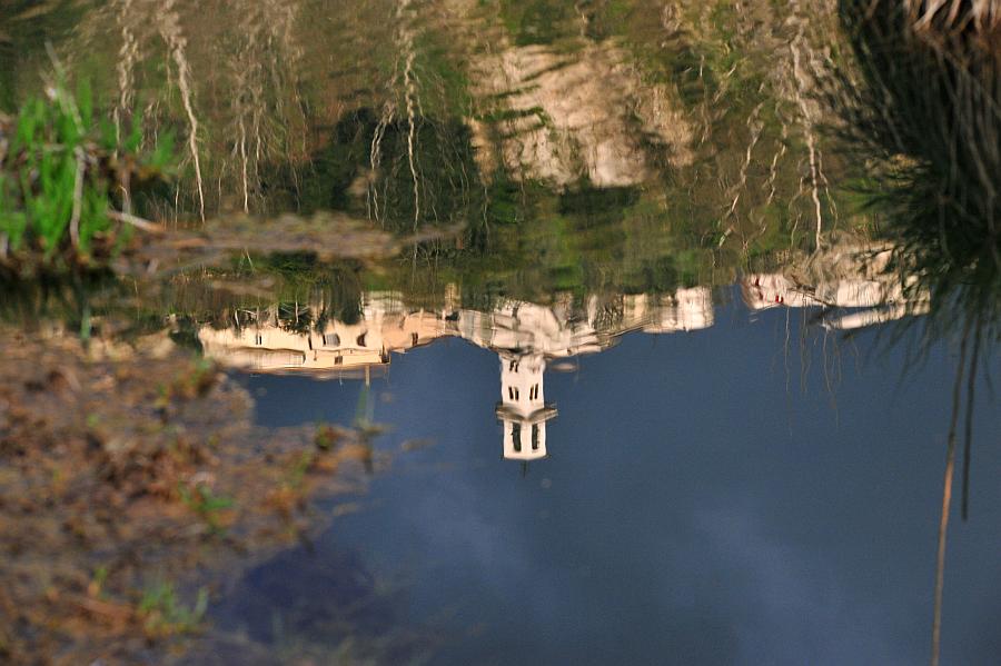 Un mondo riflesso...